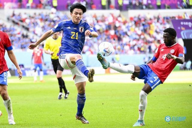 若能与快速 若能与快速