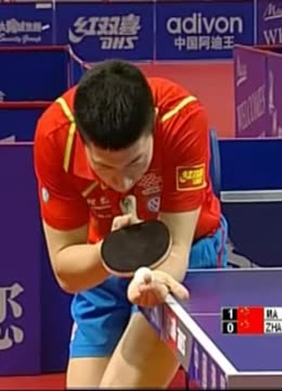 可能在今年 可能在今年