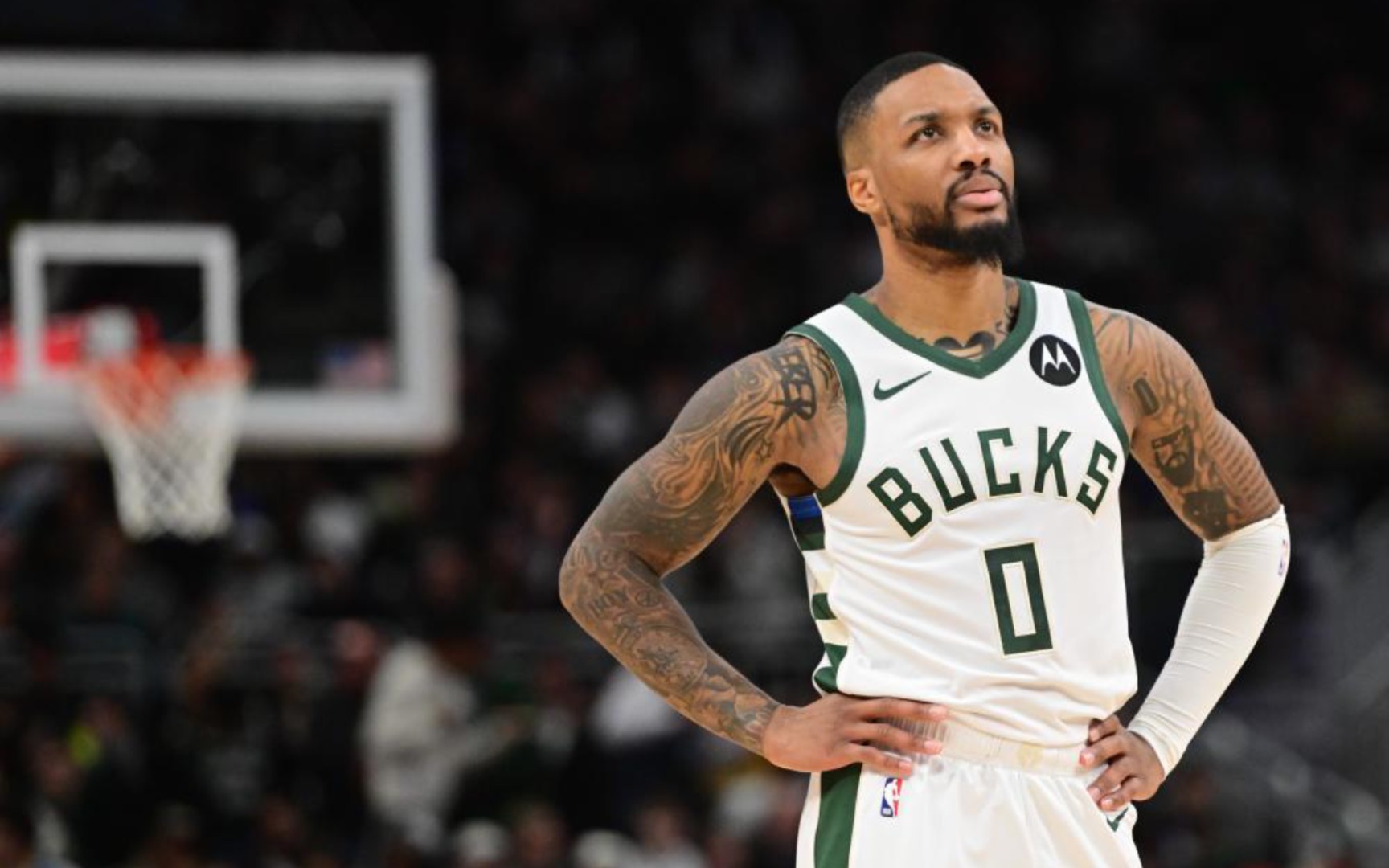 的引进增添 的引进增添